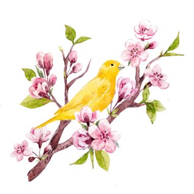 Suluboya çiçek kompozisyon