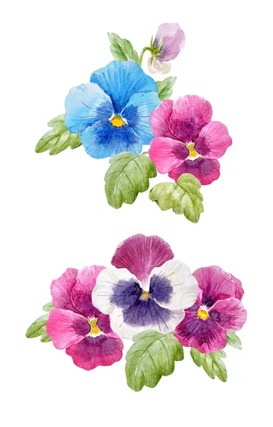 Akvarell pensé blomma uppsättning — Stockfoto