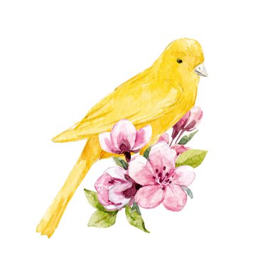 Suluboya çiçek kompozisyon