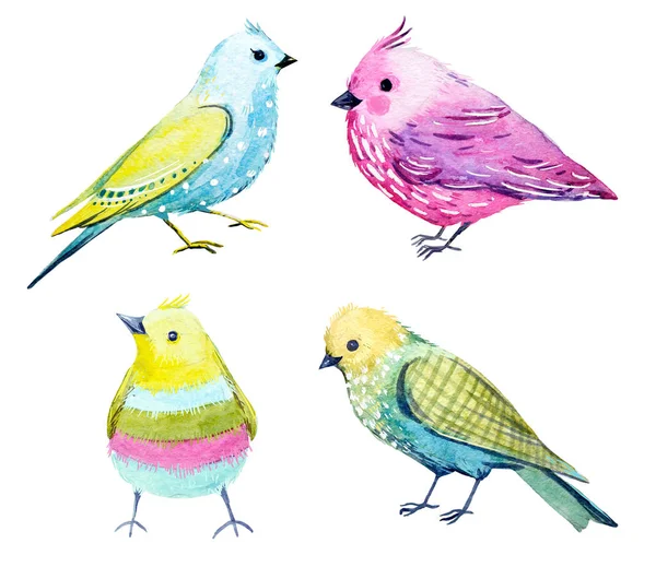 Watercolor bird set — Stock Photo, Image