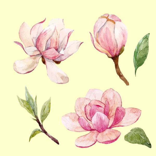 Acuarela magnolia floral vector composición — Vector de stock