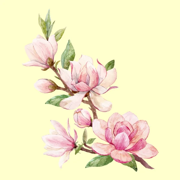 Aquarel magnolia bloemen vector samenstelling — Stockvector