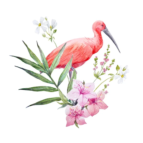 Aquarel ibis vogel samenstelling — Stockfoto