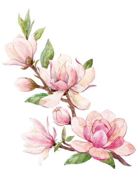 Aquarel magnolia bloemen samenstelling — Stockfoto