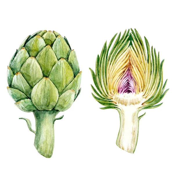 Watercolor artichoke set — Stock Photo, Image