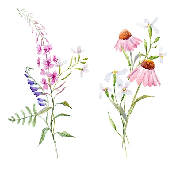 Akvarel květinové kompozice — Stock fotografie