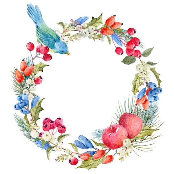 Watercolor winter christmas floral wreath — Stock Photo, Image