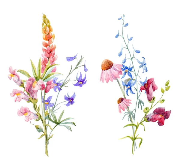 Composição floral aquarela — Fotografia de Stock