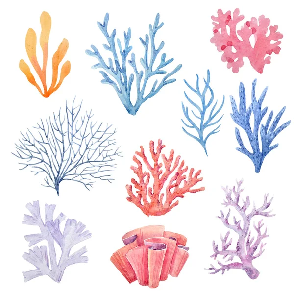 Акварельный коралловый набор — стоковое фото