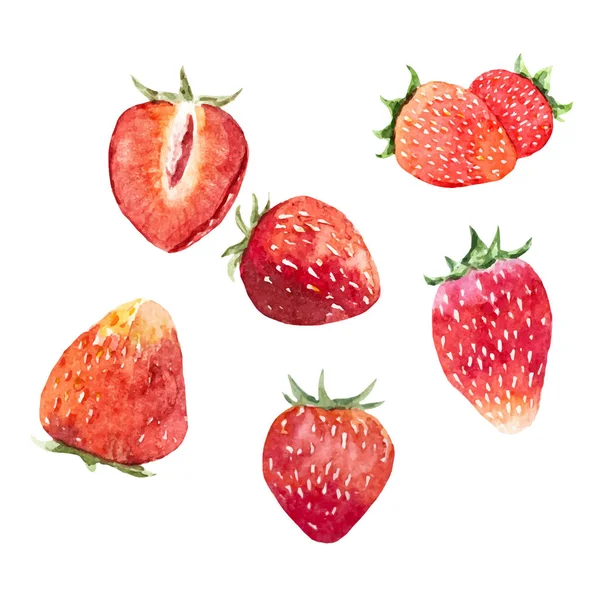 Watercolor strawberry vector set — Stock Vector