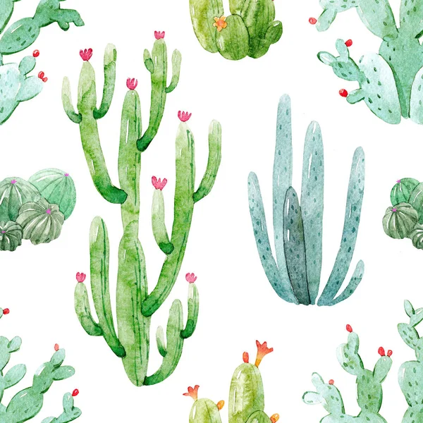 Aquarel cactus patroon — Stockfoto