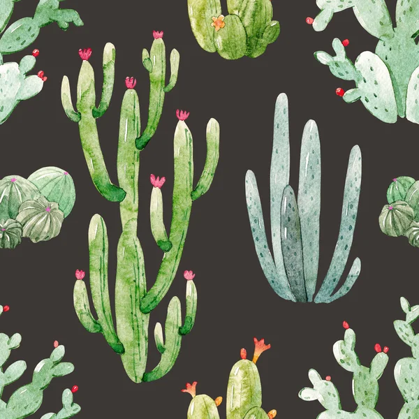 Modello di cactus ad acquerello — Foto Stock