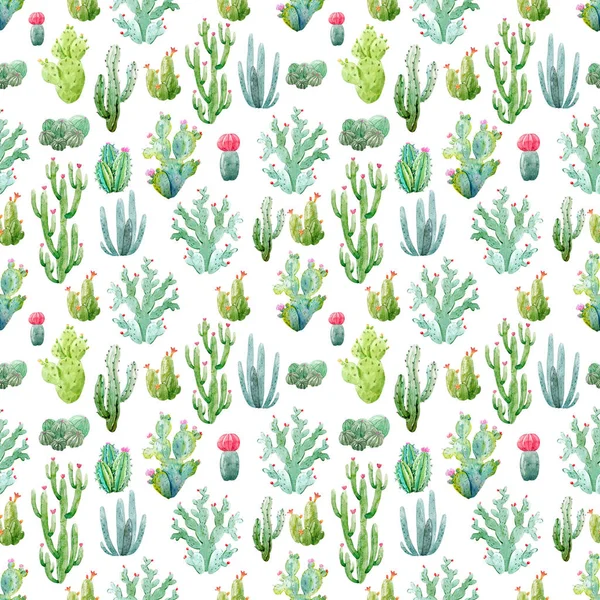 Watercolor cactus pattern — Stock Photo, Image