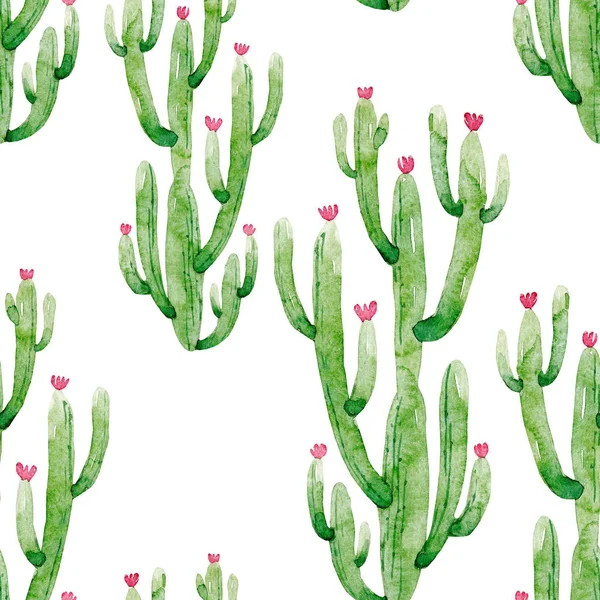 Vzorek akvarel kaktus — Stock fotografie