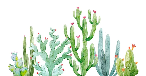 Composición de cactus acuarela — Foto de Stock