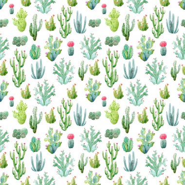 Suluboya kaktüs vektör desen