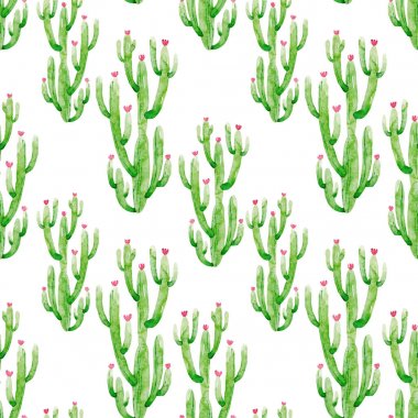 Suluboya kaktüs vektör desen