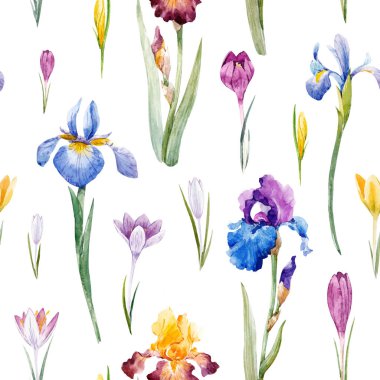 Suluboya çiçek vektör desen