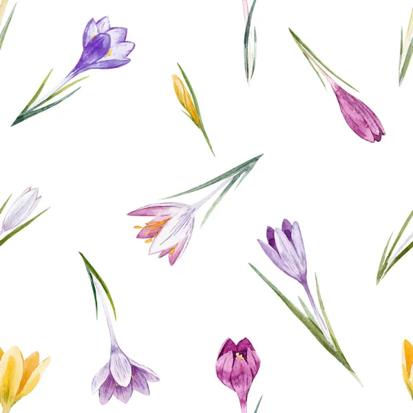 Aquarel crocus floral vector patroon — Stockvector