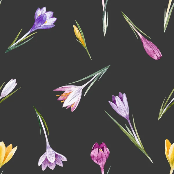 Watercolor crocus floral pattern — Stock Photo, Image