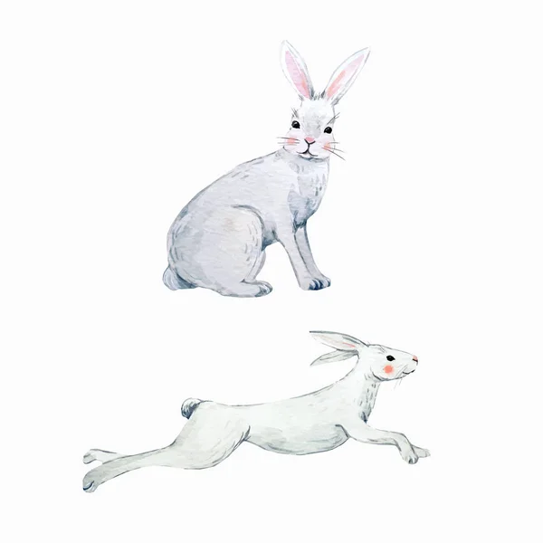 Set coniglio vettore acquerello — Vettoriale Stock