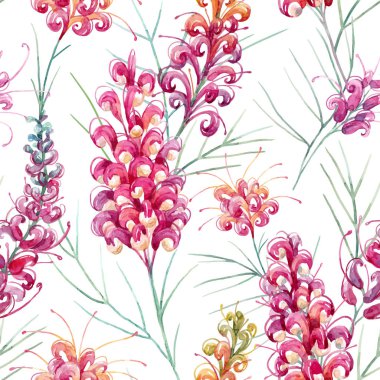 Suluboya vektör grevillea desen