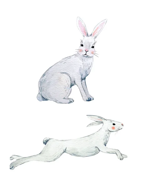 Set coniglio acquerello — Foto Stock