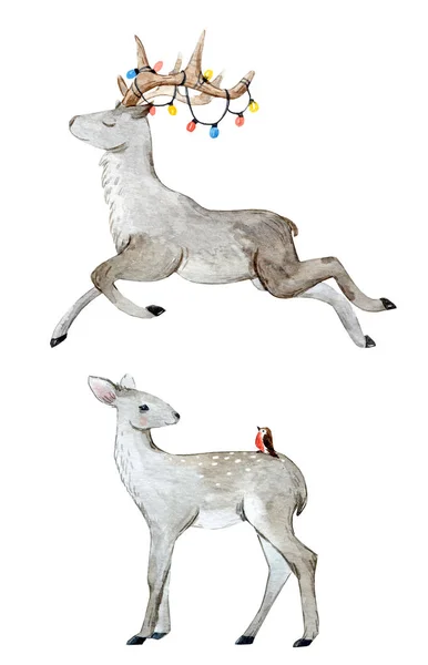 Watercolor deer set — Stock Photo, Image