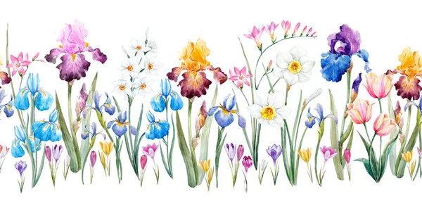 Akvarell virágminta — Stock Fotó