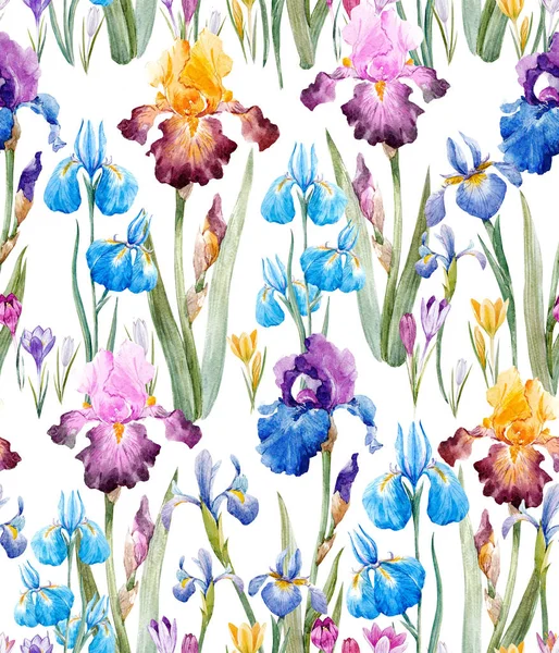 Watercolor floral pattern — Stock Photo, Image