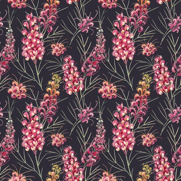 Watercolor australian grevillea pattern — Stock Photo, Image