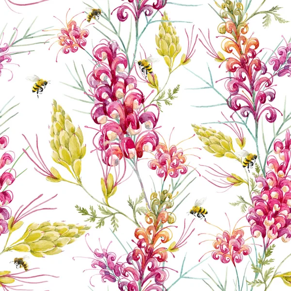 Watercolor australian grevillea pattern — Stock Photo, Image