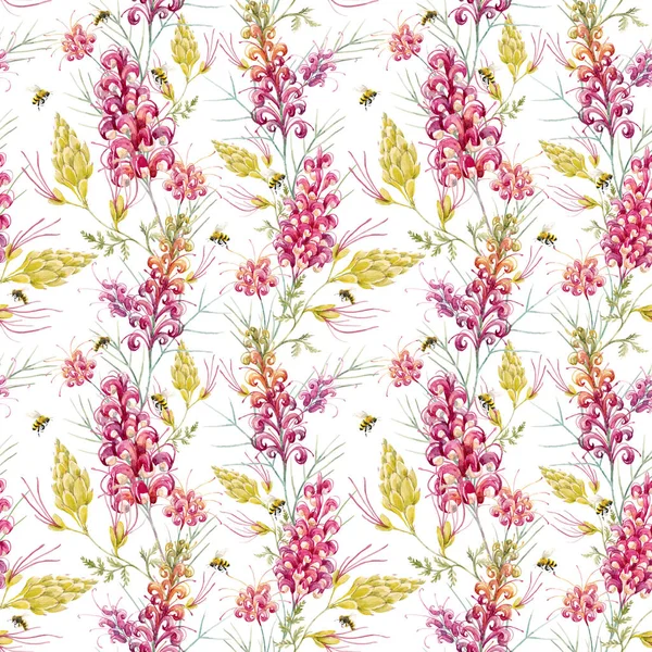 Watercolor australian grevillea pattern — Stock Photo, Image