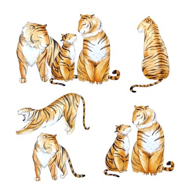 Suluboya tiger set