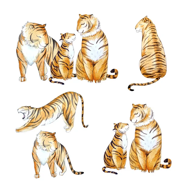 Akvarell tiger set — Stockfoto