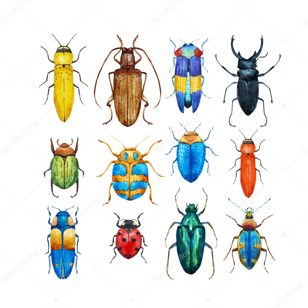 Watercolor beetles vector set