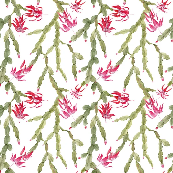 Schlumberger cactus pattern — Stock Photo, Image
