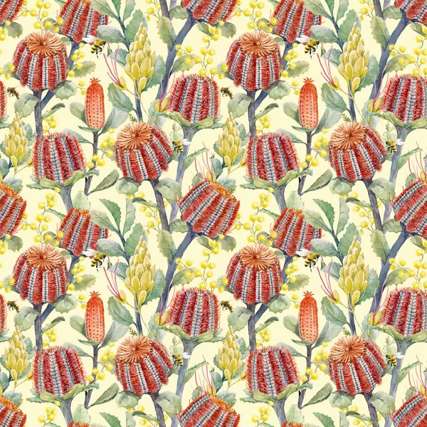 Aquarelle australienne banksia motif floral — Photo