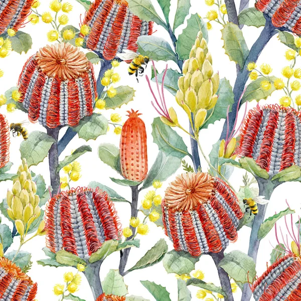Watercolor australian banksia floral pattern