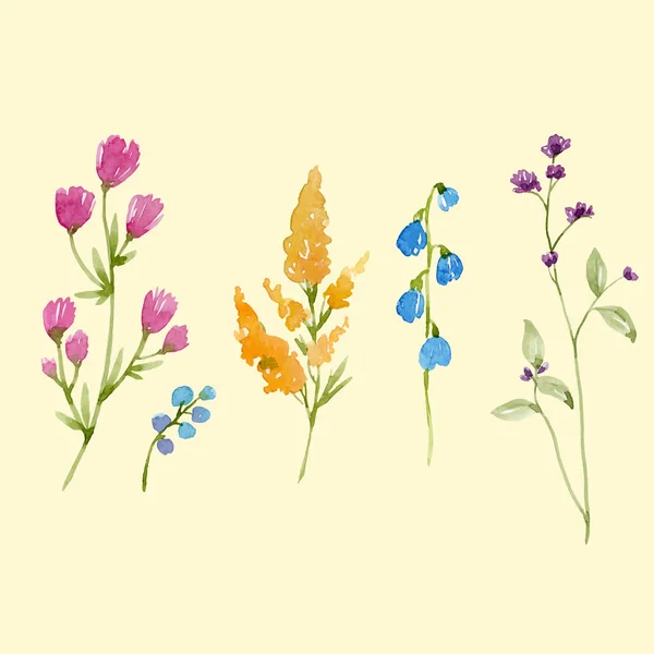 Watercolor floral vector set — Stock Vector