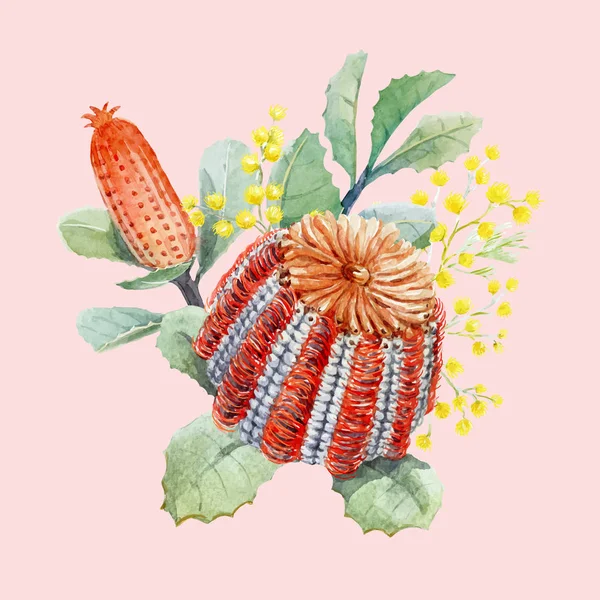 Aquarelle australienne banksia composition vectorielle — Image vectorielle