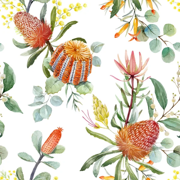 Watercolor australian banksia vector pattern — Stock Vector