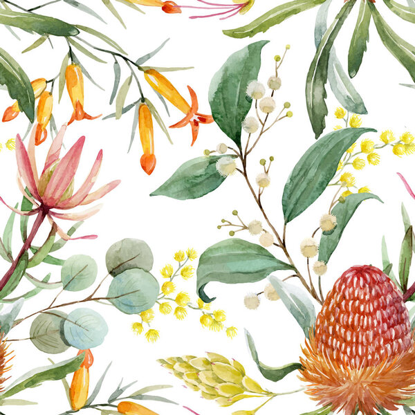 Watercolor australian banksia vector pattern