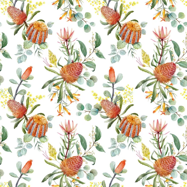 Aquarelle australienne banksia motif floral — Photo