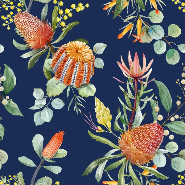 Akwarela banksia Australii kwiatowy wzór — Zdjęcie stockowe