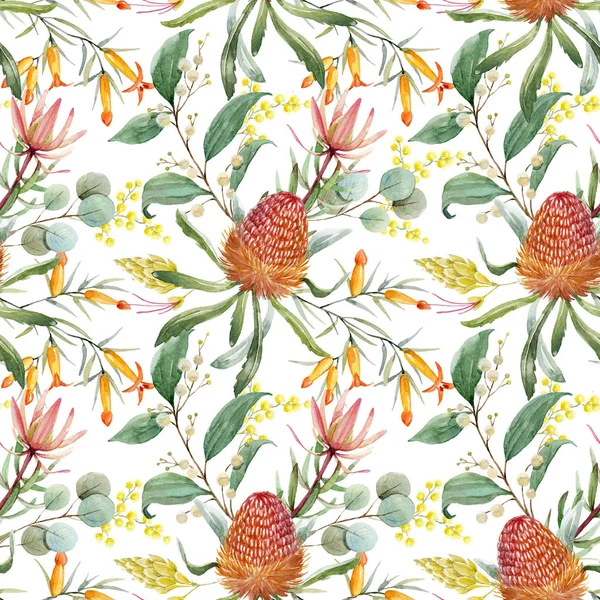 Watercolor australian banksia floral pattern — Stock Photo, Image