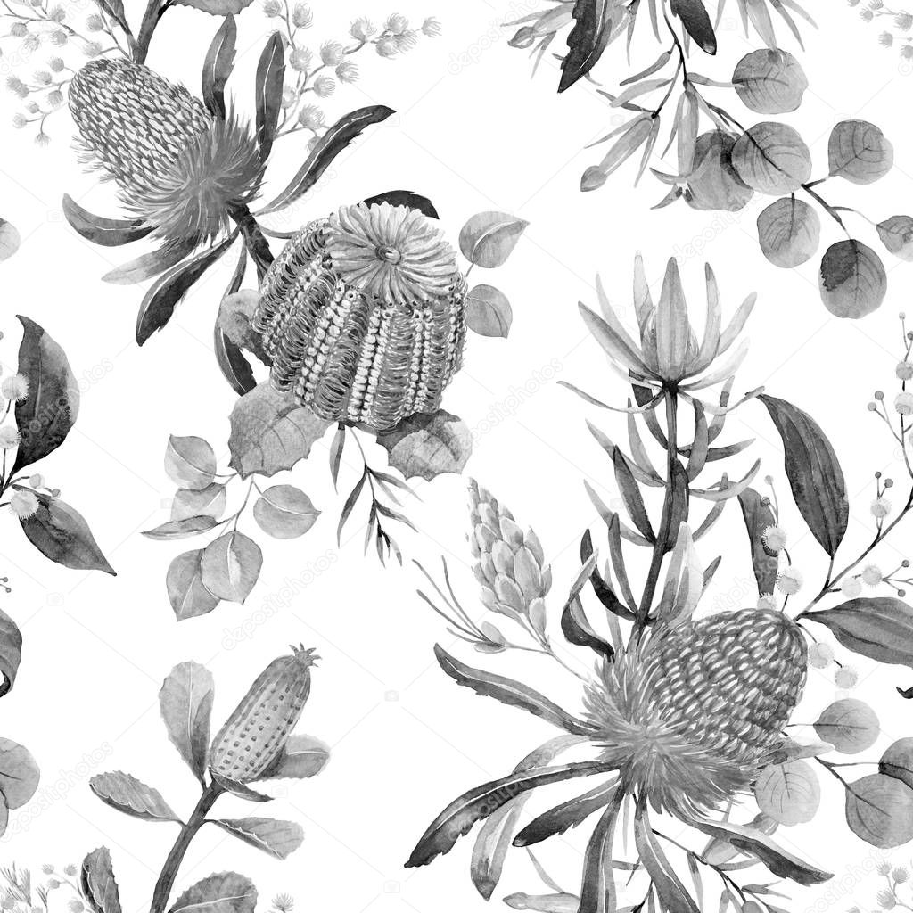 Watercolor australian banksia floral pattern