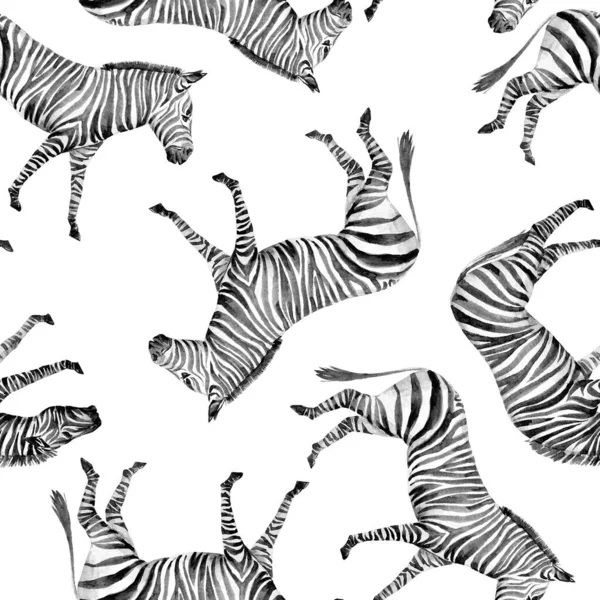 サファリ動物と水彩シームレスパターン。かわいいアフリカのゼブラ. — ストック写真