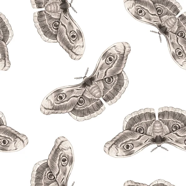 Beautiful moth butterfly seamless pattern. Ready print. White background — Stock Photo, Image