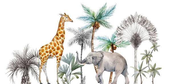Safari en acuarela con composición de palmas tropicales. Jirafa africana, elefante . — Foto de Stock